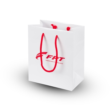 Picture of White small paper shopper