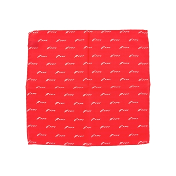 Picture of pochette FPT