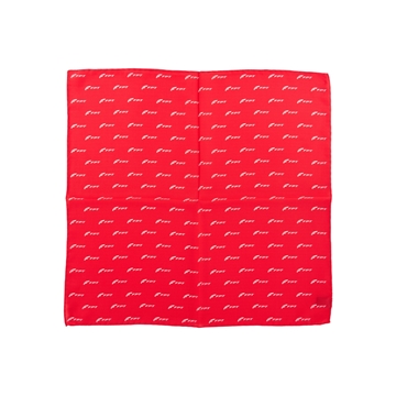 Picture of foulard FPT